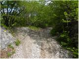 Planina (Dolnja Planina) - Hunting cottage on Planinska gora